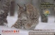 EURASIAN LYNX * LYNX LYNX * EUROPEAN CARNIVORE CAMPAIGN EAZA * WWF PANDA * BROWN BEAR * WILDCAT * FOX * MMK181 * Hungary - Hungary