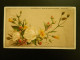 CHROMO CHOCOLAT MAGNIEZ BAUSSART A AMIENS  ( 14   X  8,2  Cms)  FLEURS 1 - Artis Historia