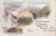 Post Card Palmerston 1901 To France, Beziers, Geysiv - Autres & Non Classés