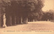 FRANCE - Versailles - Le Parc - Allée Des Quinconces - Carte Postale Ancienne - Versailles