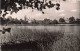 FRANCE - Lormes (Nièvre) - Vue Sur L'étang Du Goulot - Vue Générale - Carte Postale Ancienne - Lormes