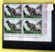 SAN MARINO 1965, ANIMALI PREISTORICI BLOCKS MNH** - Ungebraucht