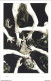 Delcampe - Portfolio FABRIQUE DELCOURT 2012 Exlibris De Adlard Aguirre McCool Eisner Layman McFarlane Mignola Powel Roux Philips... - Portfolios
