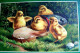 POUSSIN JOLI LOT X 4 Cpa Gaufrées  RELIEF PÂQUES POUSSINS  OEUF  .EASTER CHICKS EGG CHICK  LOT OF 4 OLD Embossed PC - Pascua