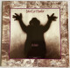 JOHN LEE HOOKER - The Healer - LP - 1989 - German  Press - Blues
