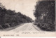 2769	50	Apeldoorn, Soerensche Grintweg 1906 (kleine Vouw Rechts Boven, Zie Achterkant) - Apeldoorn
