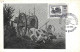 ARGENTINA 1960 "Water Cart" Bull, Painting, Maxicard FD Maximum Card Art Painting - Stage-Coaches