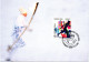 Norge Lillehammer 1994, Maximumkarte Fackellauf Torch Winterspiele, Olympic Winter Games - Inverno1994: Lillehammer