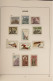 Delcampe - Spanje / Espagne / Espana - Collectie Postfrisse Zegels In Een Album / Colección De Sellos MNH En Un álbum. - 1954-1978 - Sammlungen