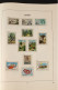 Delcampe - Spanje / Espagne / Espana - Collectie Postfrisse Zegels In Een Album / Colección De Sellos MNH En Un álbum. - 1954-1978 - Verzamelingen