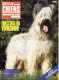 REVUE CHIEN N° 38 De 1979 Animaux Chiens - Animales