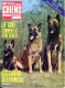 REVUE CHIEN N° 66 De 1982 Animaux Chiens - Animali