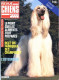 REVUE CHIEN N° 92 De 1984 Animaux Chiens - Animaux