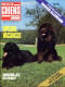 REVUE CHIEN N° 35 De 1979 Animaux Chiens - Animales