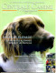 Centrale Canine N° 183  Epagneuls Allemands  , Revue Cynophilie Francaise Chien - Animals