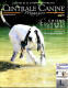 Centrale Canine N° 195 Le Saint Usuge , Flyball , Chien De Sauvetage ,  Revue Cynophilie Francaise Chien - Animals