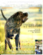 Centrale Canine N° 191 Mondiale Du Mastiff ,  Revue Cynophilie Francaise Chien - Animals