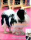 Centrale Canine N° 182  Epagneuls Japonais Pékinois , Chiens à Fauves  , Revue Cynophilie Francaise Chien - Animals