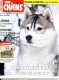 VOS CHIENS Magazine 342 Husky Sibérien , Greyhound , Grands Prix , Expositions Paris Perpignan Troyes - Animals