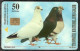 Bosnia Sarajevo -  Short-beaked Pigeon Used Chip Card - Bosnië