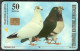 Bosnia Sarajevo -  Short-beaked Pigeon Used Chip Card - Bosnie