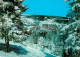 73169137 Witoscha Gebirge National Park Winterpanorama Hotel Schtastliweza Burga - Bulgarie