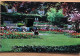 Flower Garden, U. S. Military Academy West Point, N. Y. (c180) - Parcs & Jardins