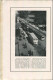 Deutschland - Kennen Sie Berlin Und Potsdam 1927 - 166 Seiten Mit Vielen Abbildungen Deutsch Englisch - 5. Wereldoorlogen