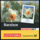 61 Lb MH Narzisse - Mit Kleinem Aufkleber, ** Postfrisch - 2001-2010