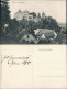 Ansichtskarte Elgersburg Schloss Elgersburg - Häuser 1908 - Elgersburg