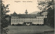 Lenggries Schloss Hohenburg Gesamtansicht (Castle Postcard) 1910 - Lenggries