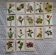 (!)  Russia FLORA Rare Flower Set Of 18 Pieces FINE RUSSIAN MATCHBOX LABELS - Boites D'allumettes - Etiquettes