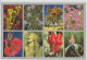 WESTERN AUSTRALIA WA Wildflowers Multiviews Art Mail NO.308 Postcard C2000s - Otros & Sin Clasificación