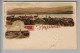 CH ZH Männedorf 1901-05-16 Litho Mit Geprägtem Edelweiss # 2292 PVKZ A.Spörri - Männedorf