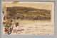 CH ZH Küsnacht 1899-07-09 Litho # 1847 Carl Künzli Zürich - Küsnacht