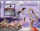 COMORES 2009 - YT BF209 Neuf Oblitéré Annulation De La Poste - FLAMANT NAIN (Phoenicopterus Minor) - Flamingos