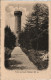 Ansichtskarte Gernsbach Turm Auf Dem Hohloh 990 M. 1920 - Gernsbach