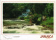 Jamaika (Allgemein) Jamaica Y.S. River Fall Elizabeth JAMAIKA, Wasserfall 2000 - Jamaica