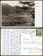 Ansichtskarte Lenggries Panorama-Ansicht Mit Brauneck 1956 - Lenggries