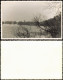 Foto Grunewald-Berlin Hundekehlesee 1950 Privatfoto Foto - Grunewald