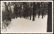 Foto Grunewald-Berlin Baumpartie Am Grunewaldsee 1950 Privatfoto Foto - Grunewald