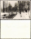 Grunewald-Berlin Am Grunewaldsee, Holzbrücke Im Winter 1950 Privatfoto Foto - Grunewald