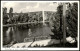 Ansichtskarte Braunlage Kurpark, Kurgarten, Kur-Anlagen 1956 - Braunlage