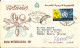 Egypt Registered FDC 23-3-1962 World Meteorological Day Uprated And Sent To Italy (see Scans) - Brieven En Documenten