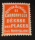 ERINNOPHILIPE: Vignette CARNON VILLE Deesse Des Plages, Neuve** ........... CL1-21-4c - Tourism (Labels)