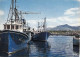 Delcampe - Lot De 20 CPSM GF - BATEAUX DE PECHE (0.17 € / Carte) Sightseeing Boat Ausflugsboot Rondvaartboot - 5 - 99 Postkaarten