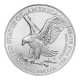 2024 $1 American Silver Eagle 1 Oz Bu - Collezioni