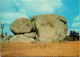 6-3-2025 (2 Y 16) Australia - NSW -  Armidale - Thunderbolt's Rock (carving) - Otros & Sin Clasificación