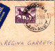 6-3-2025 (2 Y 16) Australia - NSW - El Alamein Fountain In Kings Cross (in Sydney) Posted1965 With Thylacine Stamp - Sydney