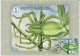 Maximumkaarten Bpost "Spinnenpracht" Marijke Meersman Met Stempel Voorverkoop 26/8/2023 Kortrijk - Unused Stamps
